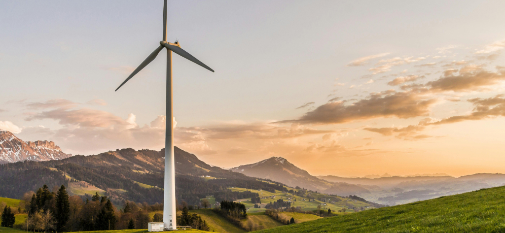 Solar Panels vs Energy Efficiency Upgrades