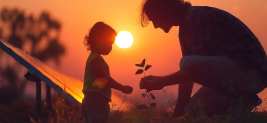 How to Avoid Common Solar Scams